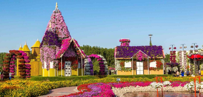 Dubai Flower Garden, UAE