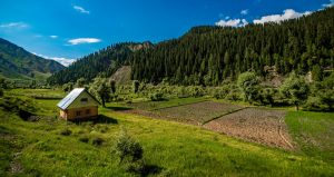 6 Offbeat Places To Visit In Jammu Kashmir Travelholicq