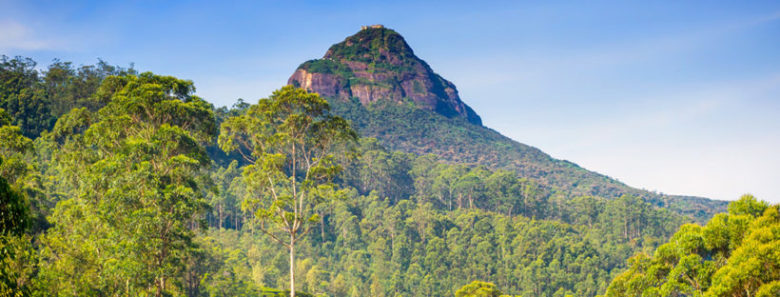 7 Best Places To Visit In Sri Lanka | Travelholicq