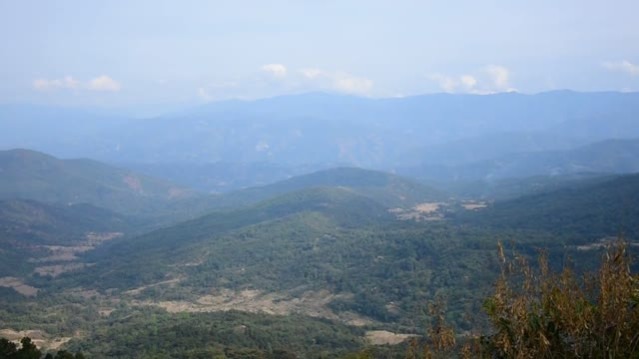 Changsangmongko, Nagaland