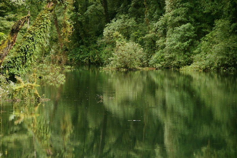 Dzudu Lake, Phek