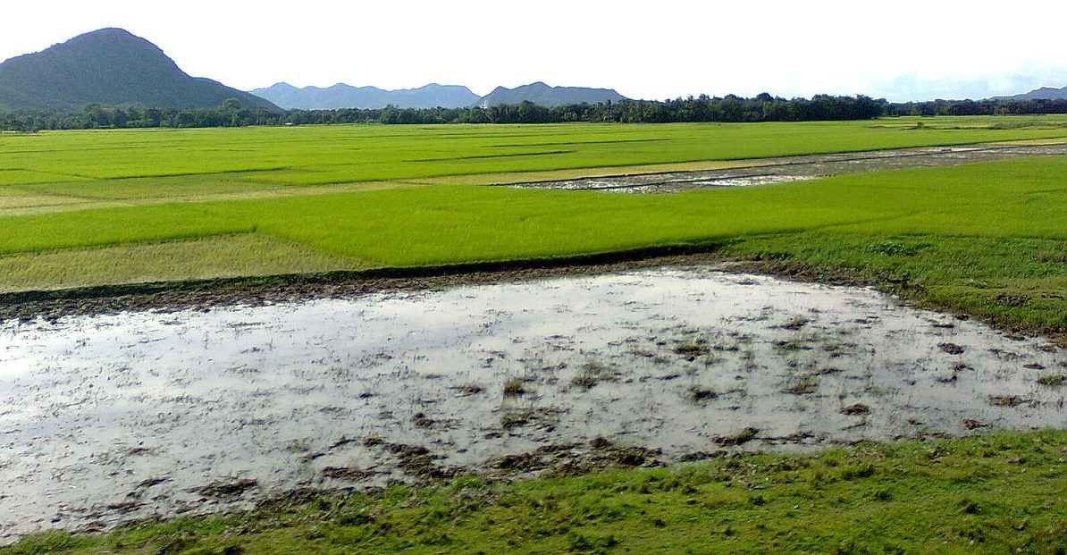 Goalpara, Assam